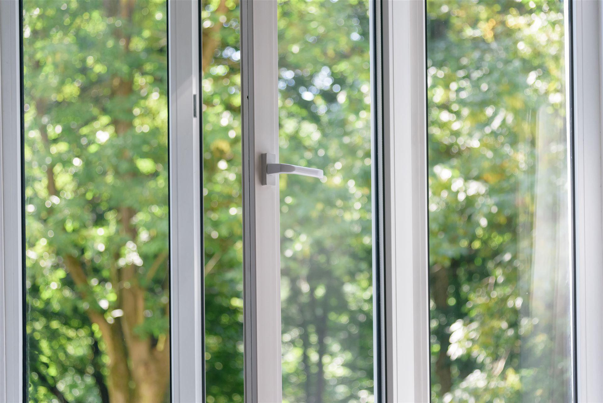 Fenster